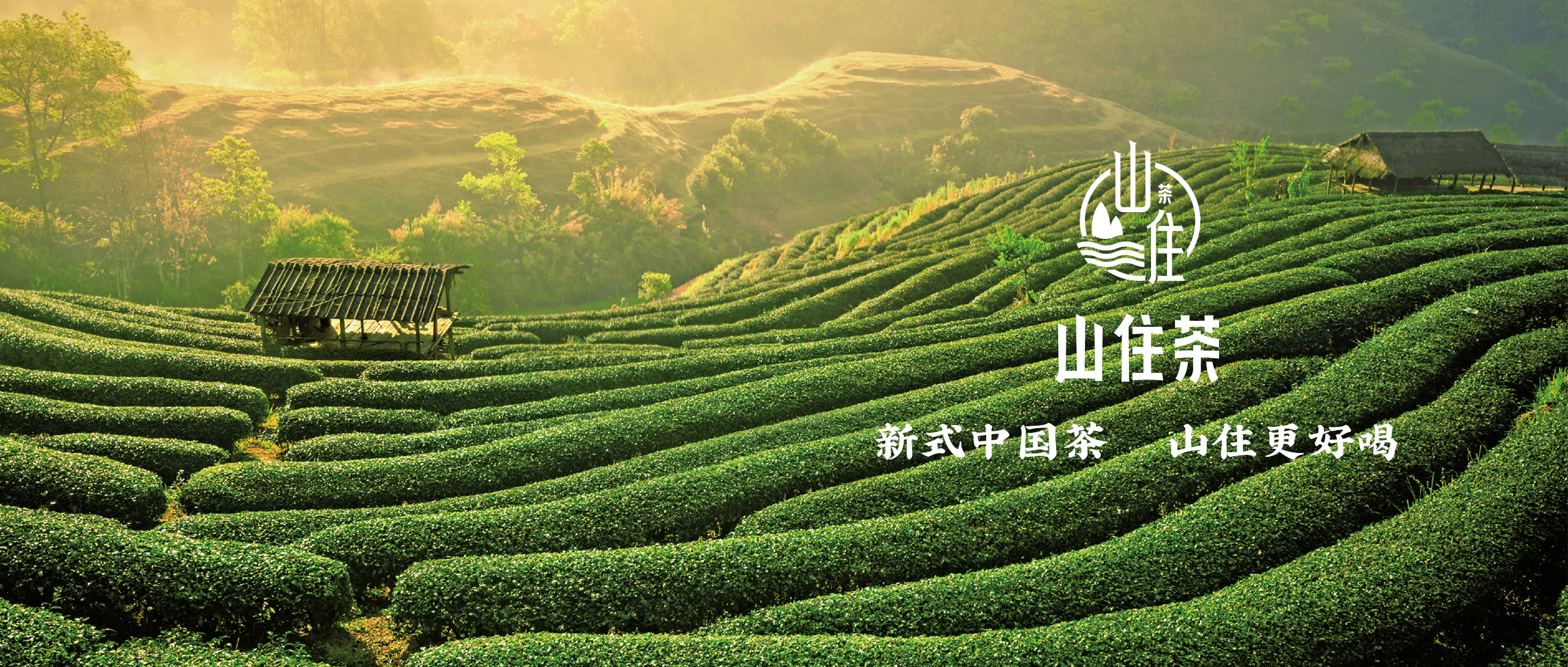 山住茶 | 福利和茶香邀你来开元上城店饮一杯茶