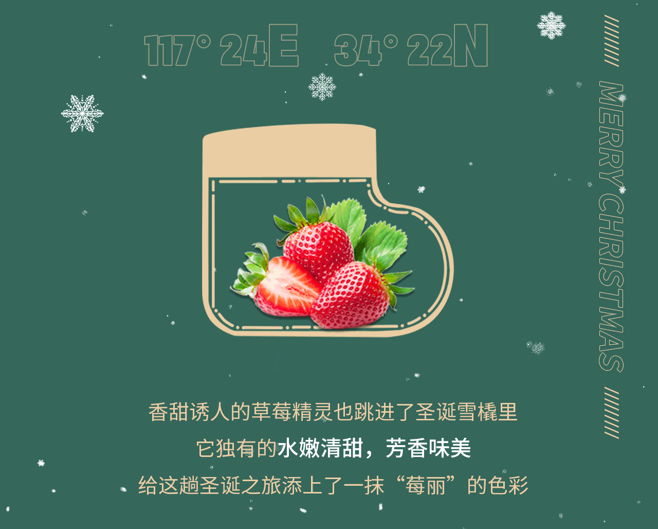 5.gif