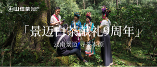 山住茶|北纬22°东经100°景迈白茶献礼9周年